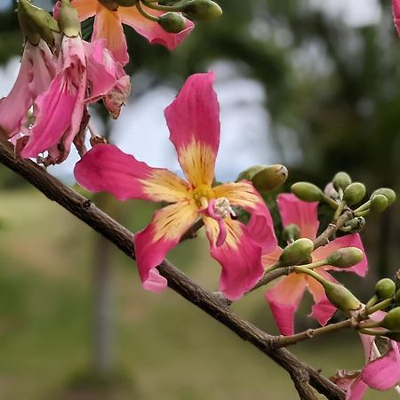 Ishigaki  Tsundara Beach Retreat מראה חיצוני תמונה